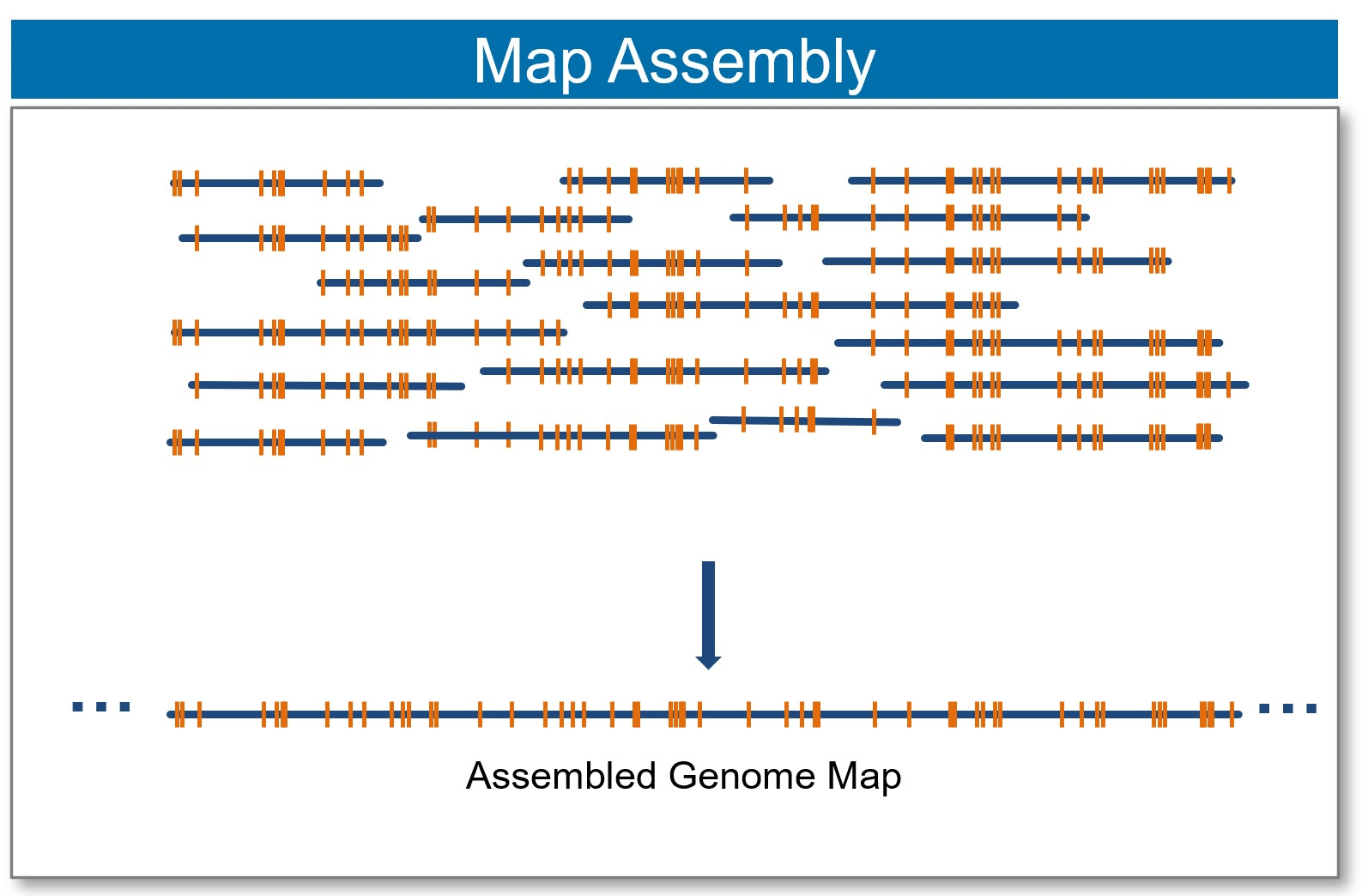 Nabsys Genome Mapping Technology Launches at ASHG 2023 - Silent Valley ...